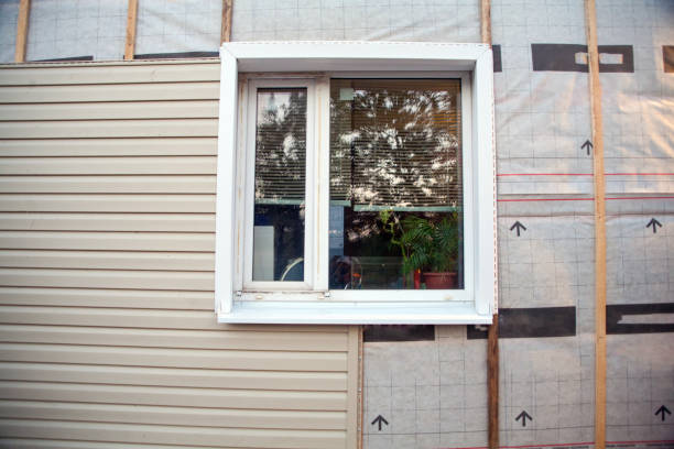 Best Weatherproofing and Sealing  in Riverton, IL