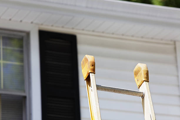 Best Custom Trim and Detailing for Siding  in Riverton, IL